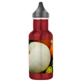 Citrouilles Et Gourdes Bouteille D'Eau En Acier In (Gauche)