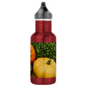 Citrouilles Et Gourdes Bouteille D'Eau En Acier In (Droite)