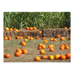 Citrouilles, maïs et foin Photographie de la récol
