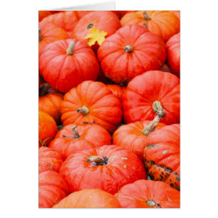 Citrouilles orange au marché, Allemagne