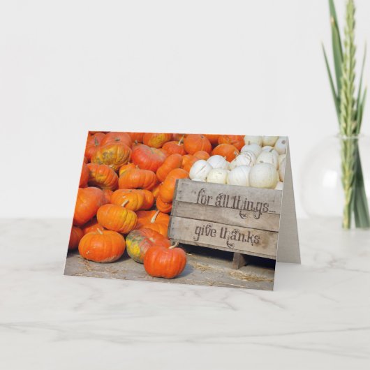 Citrouilles pour Thanksgiving Merci (Devant)