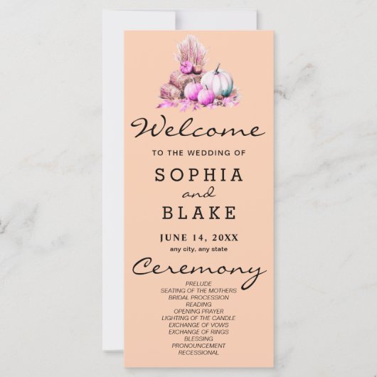 Citrouilles rose et blanc Automne Orange Programme (Devant)