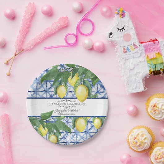 Citrus Bloemblad Bladkrans Blauw Wit Papieren Bordje (Feest)