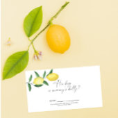 Citrus citroen - Hoe groot is mama's buik spel Informatiekaartje