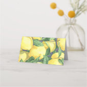 Citrus citron - Cartes de place (Dos)