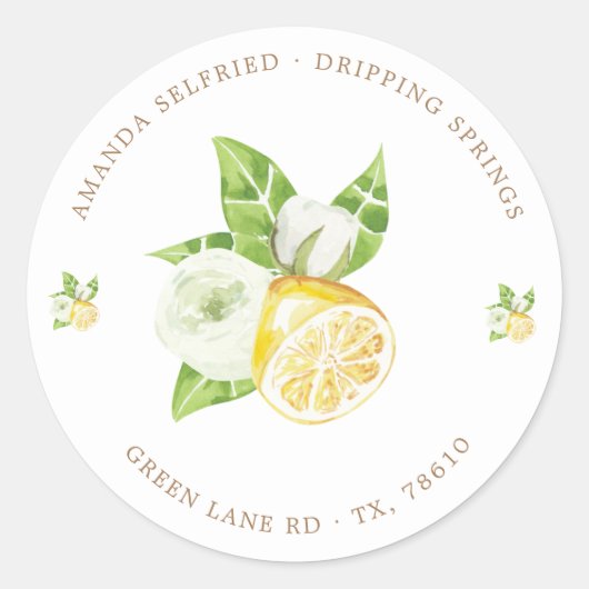 citrus citron fruit Classic Round Sticker (Devant)