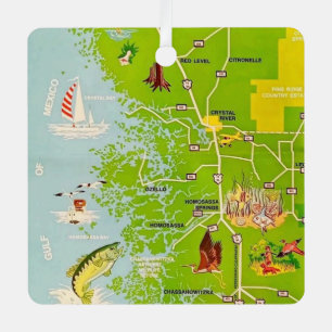 Citrus County Florida Vintage Kaart Ornament