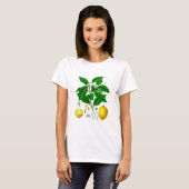 Citrus Fruit Lemon Botanical Print nr. 7 Art. T-shirt (Voorkant volledig)