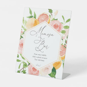 Citrus Fruit Momosa Bar Reclamebord Met Voetstuk