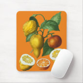 CITRUS FRUIT MUISMAT (Met muis)