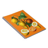 CITRUS FRUIT NOTITIEBOEK (Rechterzijde)