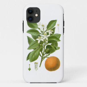Citrus Fruit Sinaasappel Botanical no. 2 Home Deco iPhone 11 Hoesje