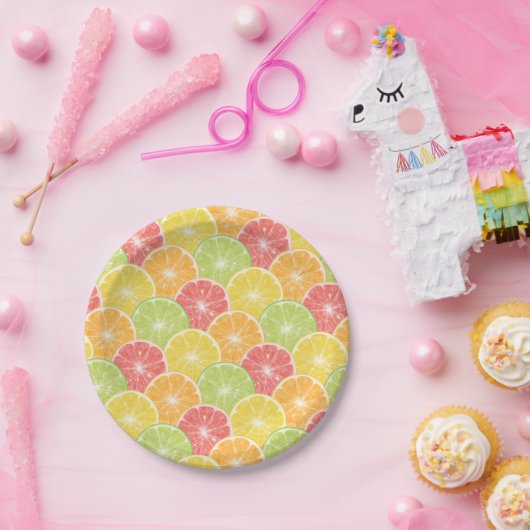 Citrus Fruit Slices Papieren Bordje (Feest)