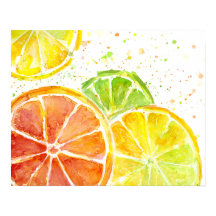 Citrus Fruit Waterverf Art Print Poster