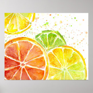 Citrus Fruit Waterverf Art Print Poster
