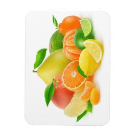 Citrus Fruits Magneet