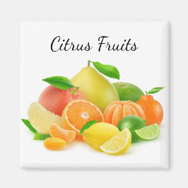 Citrus Fruits Magneet