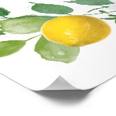 Citrus Lemon Baby shower à thème Affiche de bienve (Coin)