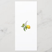 Citrus Lemon Vrijgezellenfeest Menu (Achterkant)