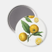  Citrus Magneet (Voorkant / Achterkant)