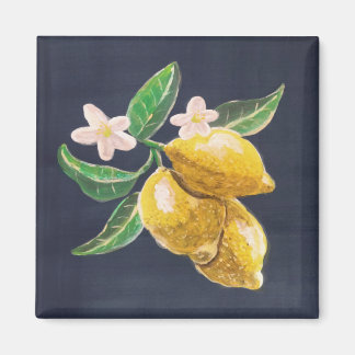 citrus magneet