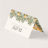 Citrus orange botanique moderne rustique carte pla (Front)