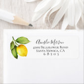 Citrus Orchard Return Address Labels (Insitu)