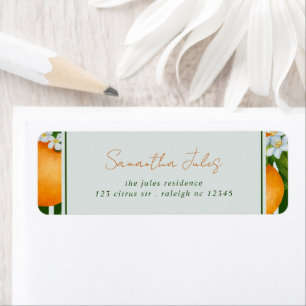 Citrus Sinaasappels Groene Strepen Retouradres Etiket