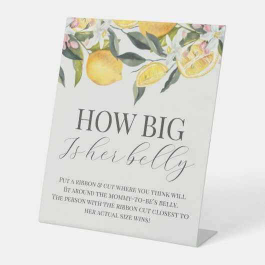 Citrus thema hoe groot is haar buik baby shower te reclamebord met voetstuk (Voorkant)