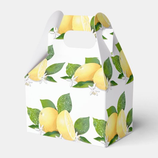 Citrusvruchten botanisch bedankdoosjes (Achterkant)