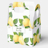 Citrusvruchten botanisch bedankdoosjes (Geopend)