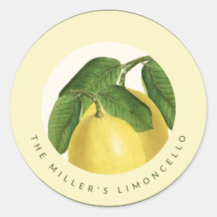 Citrusvruchten Citroenen Thuisgemaakte Limonce Ronde Sticker