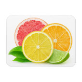 Citrusvruchten Magneet (Horizontaal)