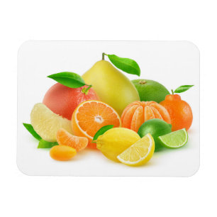 Citrusvruchten Magneet