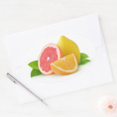 Citrusvruchten Ovale Sticker (Envelop)