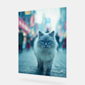 City Chic : La reine du Catwalk (Angle)