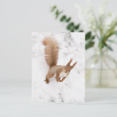 City Squirrel Briefkaart (Staand voorkant)