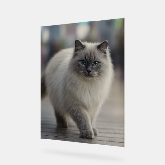 City Strolls and Sapphire Eyes (Angle)