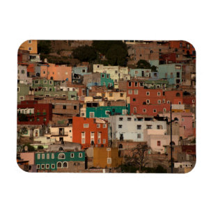 Cityscape of Guanajuato, Mexico Magneet