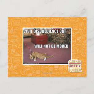 Civiele ongehoorzaamheid Cat Briefkaart
