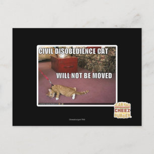 Civiele ongehoorzaamheid Cat Briefkaart