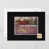 Civiele ongehoorzaamheid Cat Briefkaart (Voorkant / Achterkant)