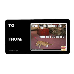 Civiele ongehoorzaamheid Cat Etiket