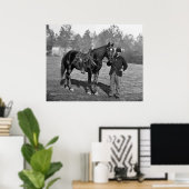 Civil War Horse, 1864 Poster (Thuiskantoor)