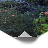 Clackamas, Oregon Poster (Hoek)