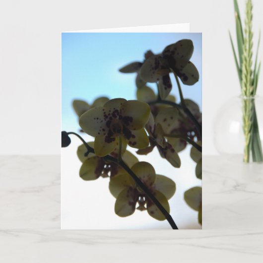 Clair DE Fleur Kaart (Voorkant)