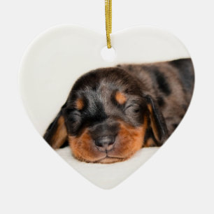 Claire Newborn-Lovebugdoxies puppy keepomwille Keramisch Ornament