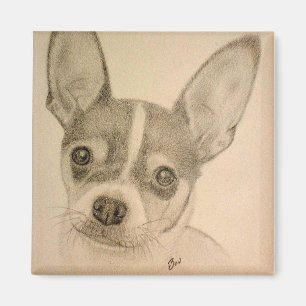 Claire the Teddy Roosevelt Terrier Magnet Magneet