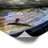 Clam Bake Poster (Hoek)