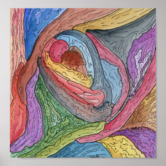 Clam Claw Poster (Voorkant)